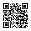 QR Code (код быстрого отклика)