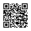 QR Code (код быстрого отклика)