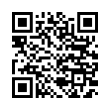 QR Code (код быстрого отклика)