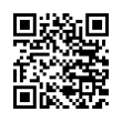 QR Code (код быстрого отклика)