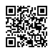 QR Code (код быстрого отклика)