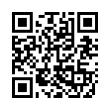 QR Code (код быстрого отклика)