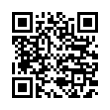 QR Code (код быстрого отклика)