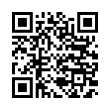 QR Code (код быстрого отклика)