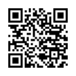 QR Code (код быстрого отклика)