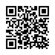 QR Code (код быстрого отклика)