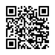 QR Code (код быстрого отклика)