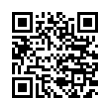 QR Code (код быстрого отклика)