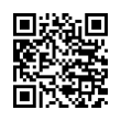 QR Code (код быстрого отклика)