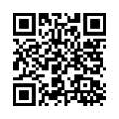 QR Code (код быстрого отклика)