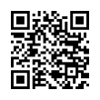 QR Code (код быстрого отклика)