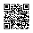 QR Code (код быстрого отклика)