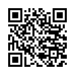 QR Code (код быстрого отклика)