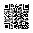QR Code (код быстрого отклика)