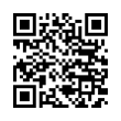 QR Code (код быстрого отклика)