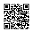 QR Code (код быстрого отклика)