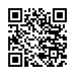 QR Code (код быстрого отклика)