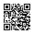 QR Code (код быстрого отклика)