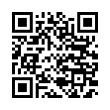 QR Code (код быстрого отклика)