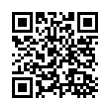 QR Code (код быстрого отклика)