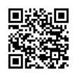 QR Code (код быстрого отклика)