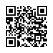 QR Code (код быстрого отклика)