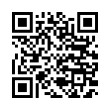 QR Code (код быстрого отклика)