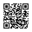 QR Code (код быстрого отклика)