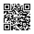 QR Kodea