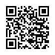 QR Code (код быстрого отклика)