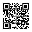 QR Code (код быстрого отклика)