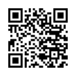 QR Code (код быстрого отклика)