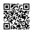 QR Code (код быстрого отклика)