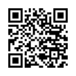 QR Code (код быстрого отклика)