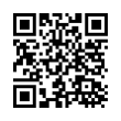 QR Code (код быстрого отклика)