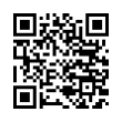 QR Code (код быстрого отклика)