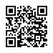 QR Code (код быстрого отклика)