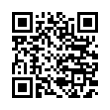 QR Code (код быстрого отклика)