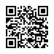 QR Code (код быстрого отклика)