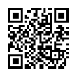 QR Code (код быстрого отклика)