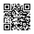 QR Code (код быстрого отклика)