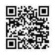 QR Code (код быстрого отклика)