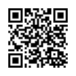 QR Code (код быстрого отклика)
