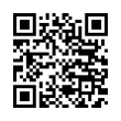 QR Code (код быстрого отклика)