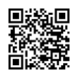 QR Code (код быстрого отклика)