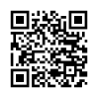 QR Code (код быстрого отклика)