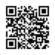 QR Code (код быстрого отклика)