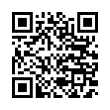 QR Code (код быстрого отклика)