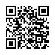 QR Code (код быстрого отклика)