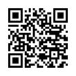 QR Code (код быстрого отклика)